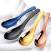 Stainless Steel Gold Soup Spoon